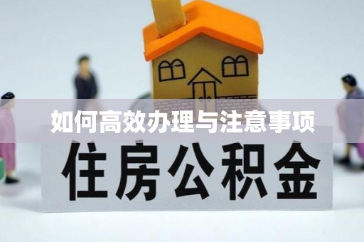 长安如何高效办理与注意事项