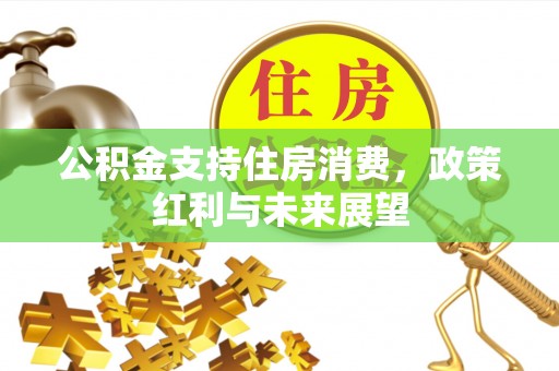 长安公积金支持住房消费，政策红利与未来展望