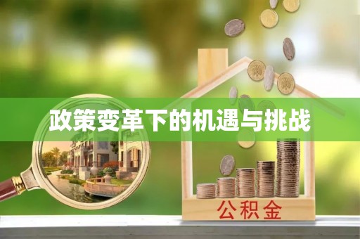 长安政策变革下的机遇与挑战