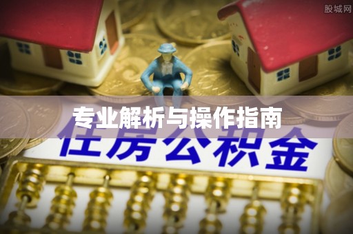 长安专业解析与操作指南