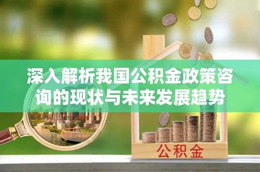 长安深入解析我国公积金政策咨询的现状与未来发展趋势