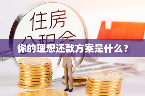 长安你的理想还款方案是什么？