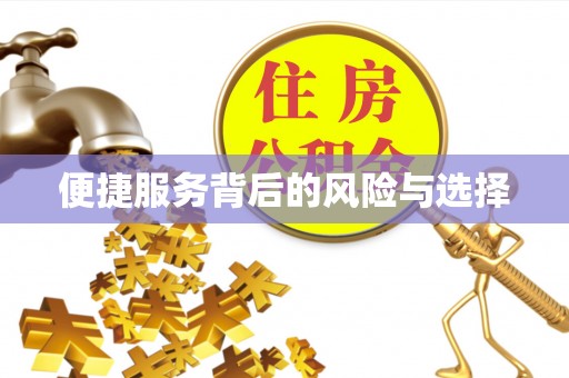 长安便捷服务背后的风险与选择